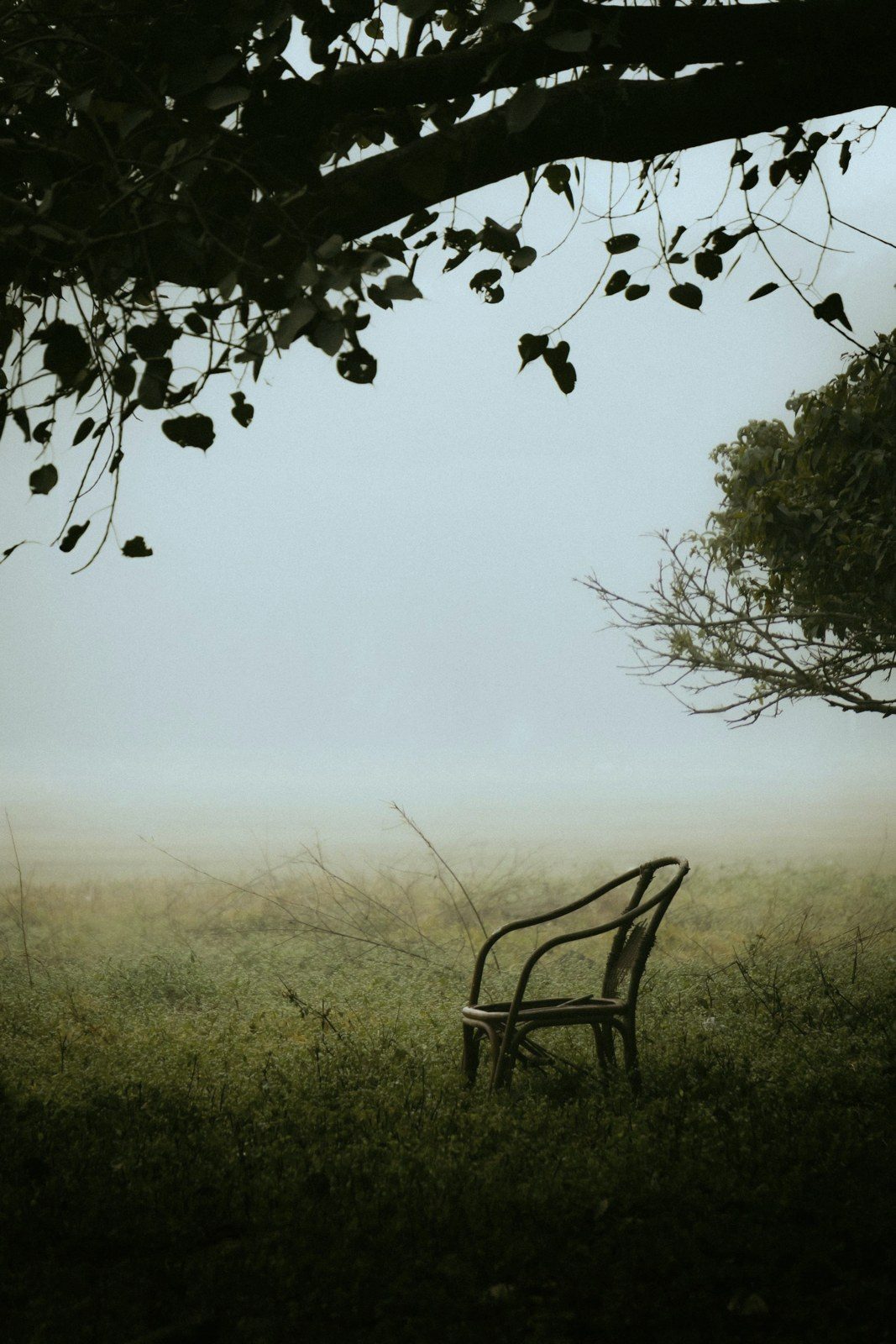A single empty chair in a misty field at dawn
