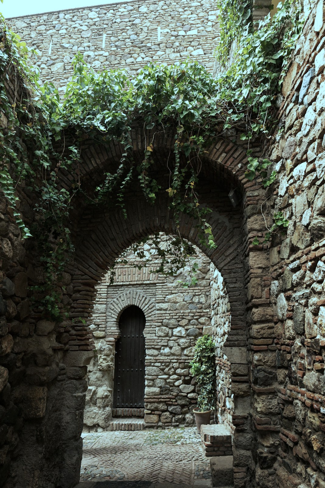 An ancient ivy-covered stone archway opening onto a hidden doorway