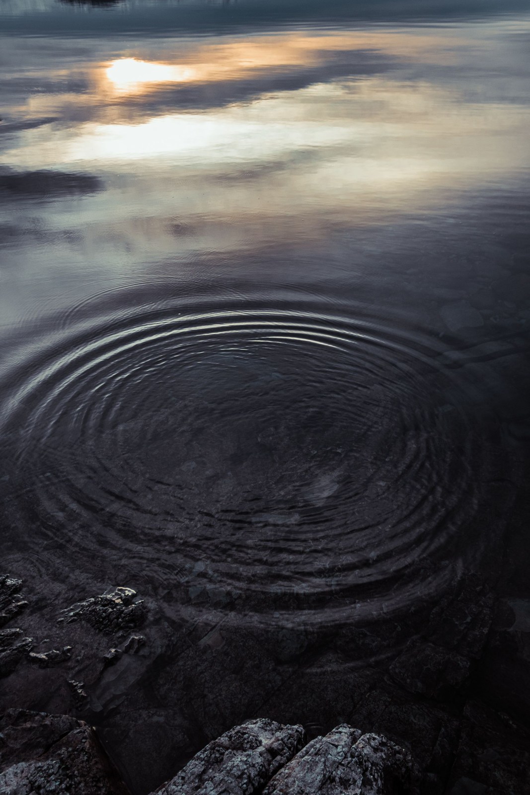 Concentric ripples spreading across still water at dusk